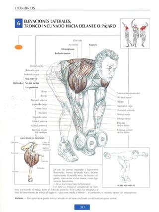GUIA DE MUSCULACION