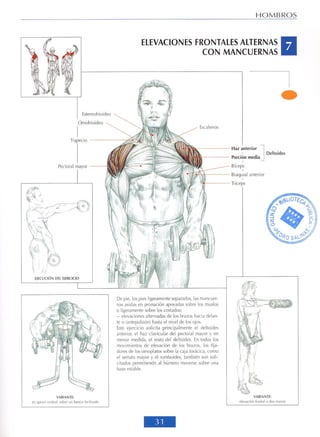 GUIA DE MUSCULACION