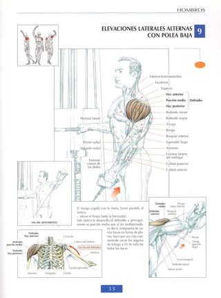 GUIA DE MUSCULACION