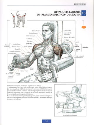 GUIA DE MUSCULACION