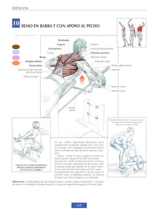 GUIA DE MUSCULACION