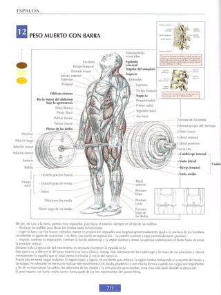 GUIA DE MUSCULACION