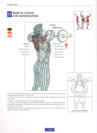 GUIA DE MUSCULACION