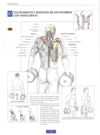 GUIA DE MUSCULACION
