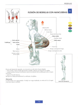 GUIA DE MUSCULACION