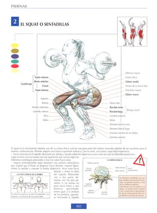 GUIA DE MUSCULACION