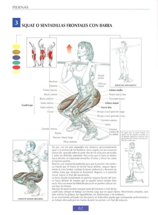 GUIA DE MUSCULACION