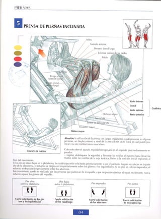 GUIA DE MUSCULACION