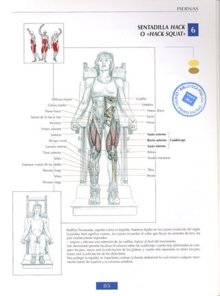 GUIA DE MUSCULACION