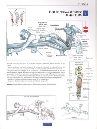 GUIA DE MUSCULACION