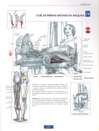 GUIA DE MUSCULACION
