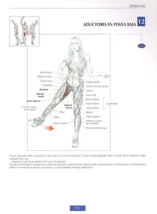 GUIA DE MUSCULACION
