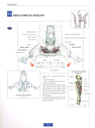 GUIA DE MUSCULACION