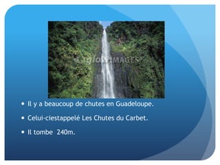 Guadeloupe by Dalton DeVos