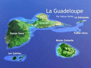 La Guadeloupe Par Dalton DeVos 