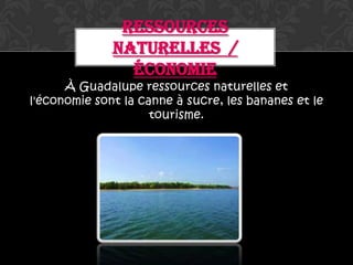RESSOURCES
              NATURELLES /
                ÉCONOMIE
      À Guadalupe ressources naturelles et
l'économie sont la canne à sucre, les bananes et le
                     tourisme.
 