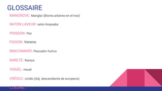 GLOSSAIRE
MANGROVE: Manglar (Bioma arbóreo en el mar)
RATON LAVEUR: ratón limpiador
POISSON: Pez
POISON: Veneno
BRACONNIER: Pescador furtivo
RARETÉ: Rareza
VISUEL: visual
CRÉOLE: criollo (Adj. descendiente de europeos)
CUISINE: cocina
 