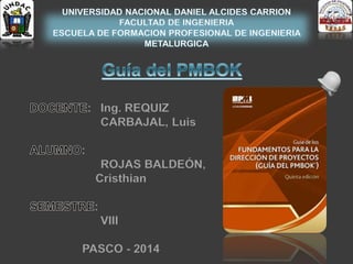 : Ing. REQUIZ
CARBAJAL, Luis
:
ROJAS BALDEÓN,
Cristhian
:
VIII
PASCO - 2014
 