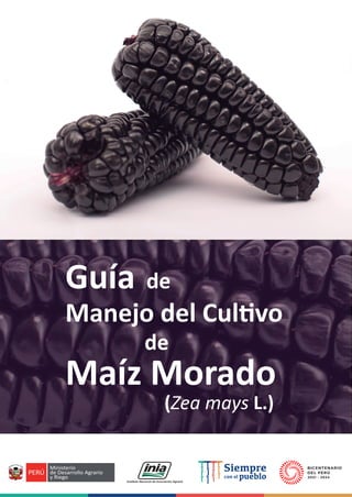 Guía de
Manejo del Cultivo
de
Maíz Morado
(Zea mays L.)
 