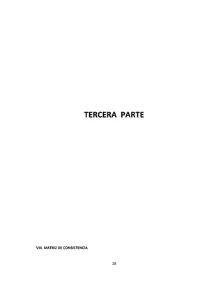 TERCERA PARTE
VIII. MATRIZ DE CONSISTENCIA
28
 