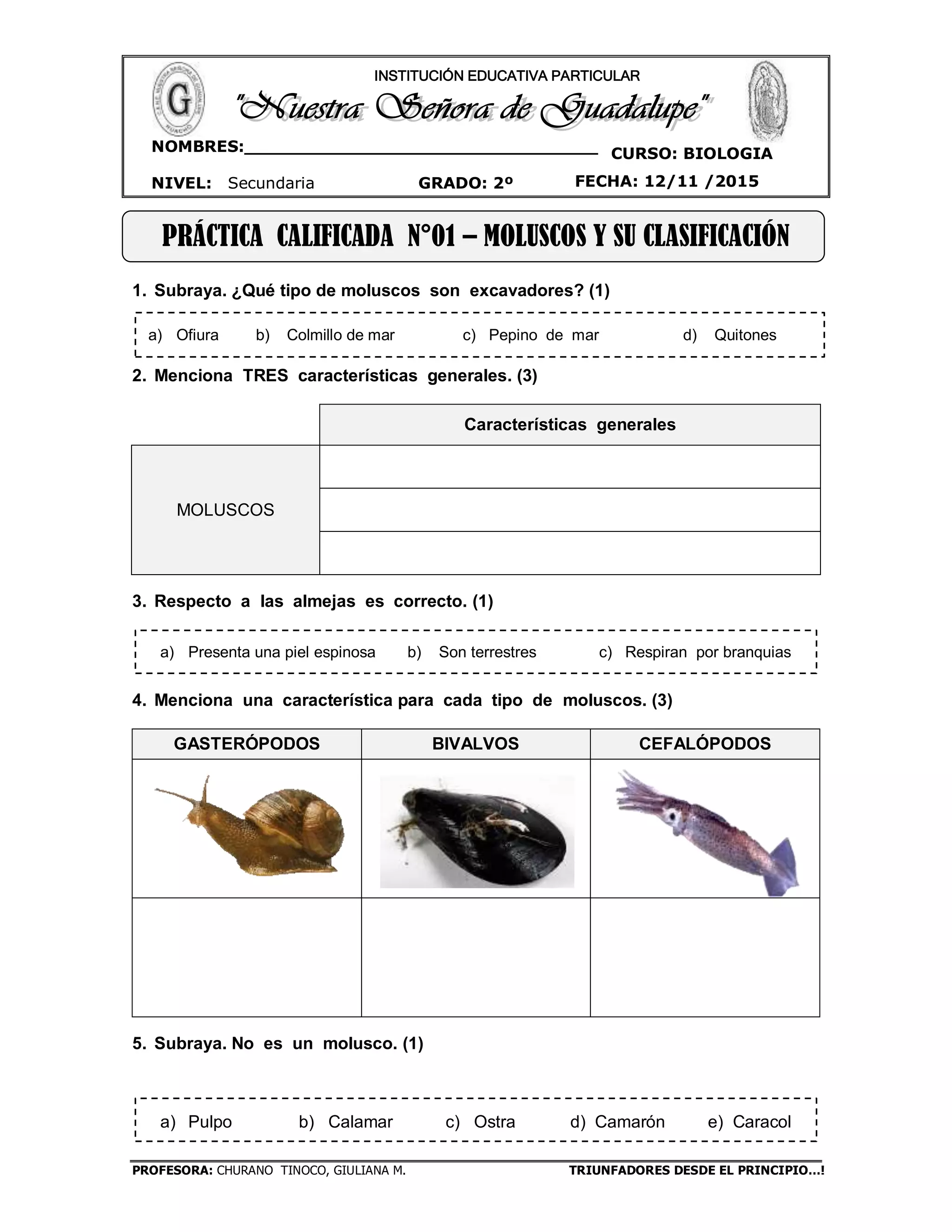 Guía de moluscos | PDF