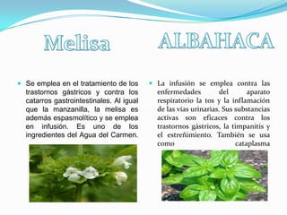  Se emplea en el tratamiento de los       La infusión se emplea contra las
  trastornos gástricos y contra los         enfermedades          del      aparato
  catarros gastrointestinales. Al igual     respiratorio la tos y la inflamación
  que la manzanilla, la melisa es           de las vías urinarias. Sus substancias
  además espasmolítico y se emplea          activas son eficaces contra los
  en infusión. Es uno de los                trastornos gástricos, la timpanitis y
  ingredientes del Agua del Carmen.         el estreñimiento. También se usa
                                            como                       cataplasma
 