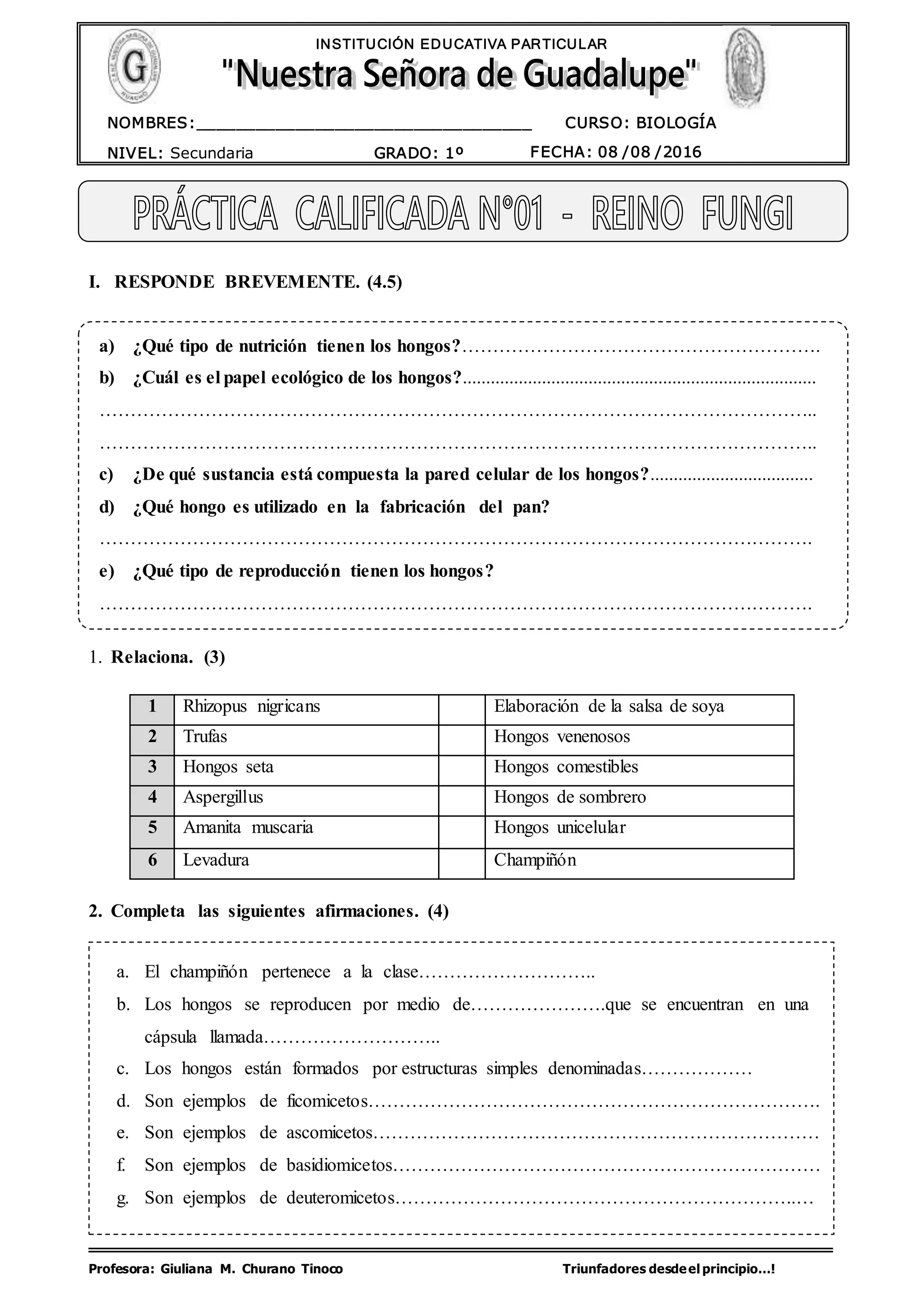 Guía de práctica reino fungi | DOCX