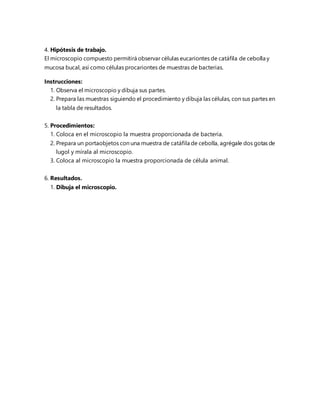 4. Hipótesis de trabajo.
El microscopio compuesto permitirá observar células eucariontes de catáfila de cebolla y
mucosa bucal, así como células procariontes de muestras de bacterias.
Instrucciones:
1. Observa el microscopio y dibuja sus partes.
2. Prepara las muestras siguiendo el procedimiento y dibuja las células, con sus partes en
la tabla de resultados.
5. Procedimientos:
1. Coloca en el microscopio la muestra proporcionada de bacteria.
2. Prepara un portaobjetos con una muestra de catáfila de cebolla, agrégale dos gotas de
lugol y mírala al microscopio.
3. Coloca al microscopio la muestra proporcionada de célula animal.
6. Resultados.
1. Dibuja el microscopio.
 