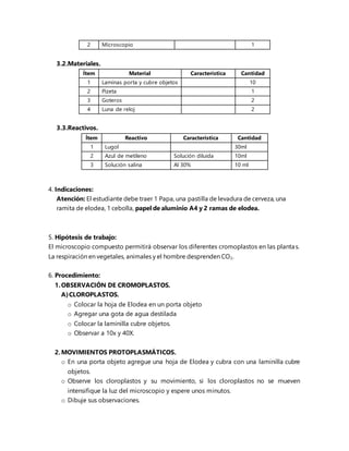2 Microscopio 1
3.2.Materiales.
Ítem Material Característica Cantidad
1 Laminas porta y cubre objetos 10
2 Pizeta 1
3 Goteros 2
4 Luna de reloj 2
3.3.Reactivos.
Ítem Reactivo Característica Cantidad
1 Lugol 30ml
2 Azul de metileno Solución diluida 10ml
3 Solución salina Al 30% 10 ml
4. Indicaciones:
Atención: El estudiante debe traer 1 Papa, una pastilla de levadura de cerveza, una
ramita de elodea, 1 cebolla, papel de aluminio A4 y 2 ramas de elodea.
5. Hipótesis de trabajo:
El microscopio compuesto permitirá observar los diferentes cromoplastos en las plantas.
La respiración en vegetales, animales y el hombre desprenden CO2.
6. Procedimiento:
1.OBSERVACIÓN DE CROMOPLASTOS.
A)CLOROPLASTOS.
o Colocar la hoja de Elodea en un porta objeto
o Agregar una gota de agua destilada
o Colocar la laminilla cubre objetos.
o Observar a 10x y 40X.
2.MOVIMIENTOS PROTOPLASMÁTICOS.
o En una porta objeto agregue una hoja de Elodea y cubra con una laminilla cubre
objetos.
o Observe los cloroplastos y su movimiento, si los cloroplastos no se mueven
intensifique la luz del microscopio y espere unos minutos.
o Dibuje sus observaciones.
 