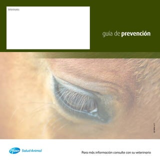 Veterinario:




                             guía de prevención




                                                                  GP WNV 4/11
               Para más información consulte con su veterinario
 