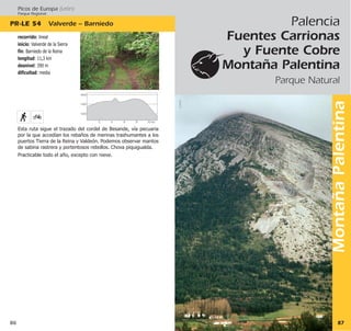 MontañaPalentina
87
Palencia
Fuentes Carrionas
y Fuente Cobre
Montaña Palentina
Parque Natural
©MAD
1600
1400
1200
4 6 82 10 km
Picos de Europa (León)
Parque Regional
PR·LE 54 Valverde – Barniedo
86
recorrido: lineal
inicio: Valverde de la Sierra
fin: Barniedo de la Reina
longitud: 11,3 km
desnivel: 390 m
dificultad: media
Esta ruta sigue el trazado del cordel de Besande, vía pecuaria
por la que accedían los rebaños de merinas trashumantes a los
puertos Tierra de la Reina y Valdeón. Podemos observar mantos
de sabina rastrera y portentosos rebollos. Chova piquigualda.
Practicable todo el año, excepto con nieve.
 