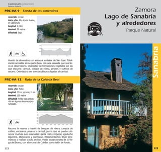 Sanabria
123
Zamora
Lago de Sanabria
y alrededores
Parque Natural
©MAD
750
700
650
2 3 km1
Castronuño (Valladolid)
Reserva Natural
PRC·VA·12 Ruta de la Cañada Real
PRC·VA·9 Senda de los almendros
122
recorrido: circular
inicio y fin: Pollos
longitud: 33 km; opcional, 19 km
desnivel: 150 metros
dificultad: media-baja; precau-
ción en algunos descensos pro-
nunciados
Recorre la reserva a través de bosques de ribera, campos de
cultivo, encinares, pinares y carrizal, por lo que se pueden ob-
servar muchas aves asociadas: garza real e imperial, aguilucho
lagunero, abejarucos y cormorán. Recomendamos llevar pris-
máticos y realizar la ruta en bici. Vistas excepcionales de la Ve-
ga del Duero, con el encinar de Cubillas como telón de fondo.
recorrido: circular
inicio y fin: Alto de «La Muela»,
en Castronuño
longitud: 6,5 km
desnivel: 50 metros
dificultad: baja
Huerto de almendros con vistas al embalse de San José. Total-
mente accesible en su parte baja, con una pasarela que nos lle-
va al observatorio. Diversidad de formaciones vegetales por las
que discurre: carrizal, bosque de ribera, pinares y cultivos de
secano. Orientada a ver aves acuáticas o ligadas al carrizal.
 