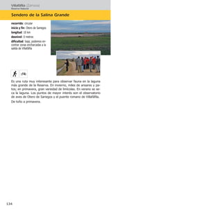Villafáfila (Zamora)
Reserva Natural
Sendero de la Salina Grande
134
recorrido: circular
inicio y fin: Otero de Sariegos
longitud: 10 km
desnivel: 0 metros
dificultad: baja; podemos en-
contrar zonas encharcadas a la
salida de Villafáfila
Es una ruta muy interesante para observar fauna en la laguna
más grande de la Reserva. En invierno, miles de ansares y pa-
tos; en primavera, gran variedad de limícolas. En verano se se-
ca la laguna. Los puntos de mayor interés son el observatorio
de aves de Otero de Sariegos y el puente romano de Villafáfila.
De toño a primavera.
 