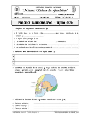 PROFESORA: CHURANO TINOCO, GIULIANA M. TRIUNFADORES DESDE EL PRINCIPIO…!
CURSO: BIOLOGÍA
NIVEL: Secundaria GRADO: 4º FECHA: 19/10 /2015
NOMBRES:________________________________
__ ____________________________________
INSTITUCIÓN EDUCATIVA PARTICULAR
PRÁCTICA CALIFICADA N°02 - TEJIDO ÓSEO
1. Completa las siguientes afirmaciones. (3)
a) El tejido óseo es el tejido más……………………que posee resistencia a la
tensión y………………………………..
b) El tejido óseo protege a los………………………………………………………………..
c) Las células de sostén son:………………………………y osteocitos.
d) Las células de remodelación es llamada………………………………………………...
e) La sustancia amorfa está compuesta por sales de………………………………………..
2. Menciona tres características del tejido óseo. (3)
A
B
C
3. Identifica los huesos de la cabeza y luego colorea de amarillo temporal,
celeste – parietal, verde – occipital, morado – maxilar – rosado – cigomático,
anaranjado - esfenoides. (3)
4. Describe la función de las siguientes estructuras óseas. (2.5)
a) Cartílago epifisario : ………………………………………………………………………………
b) Médula ósea roja : ………………………………………………………………………………
c) Cartílago articular : ………………………………………………………………………………
 