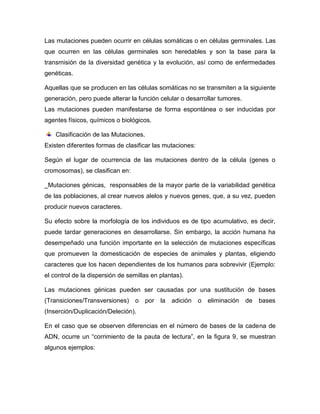 Las mutaciones pueden ocurrir en células somáticas o en células germinales. Las
que ocurren en las células germinales son heredables y son la base para la
transmisión de la diversidad genética y la evolución, así como de enfermedades
genéticas.
Aquellas que se producen en las células somáticas no se transmiten a la siguiente
generación, pero puede alterar la función celular o desarrollar tumores.
Las mutaciones pueden manifestarse de forma espontánea o ser inducidas por
agentes físicos, químicos o biológicos.
Clasificación de las Mutaciones.
Existen diferentes formas de clasificar las mutaciones:
Según el lugar de ocurrencia de las mutaciones dentro de la célula (genes o
cromosomas), se clasifican en:
_Mutaciones génicas, responsables de la mayor parte de la variabilidad genética
de las poblaciones, al crear nuevos alelos y nuevos genes, que, a su vez, pueden
producir nuevos caracteres.
Su efecto sobre la morfología de los individuos es de tipo acumulativo, es decir,
puede tardar generaciones en desarrollarse. Sin embargo, la acción humana ha
desempeñado una función importante en la selección de mutaciones específicas
que promueven la domesticación de especies de animales y plantas, eligiendo
caracteres que los hacen dependientes de los humanos para sobrevivir (Ejemplo:
el control de la dispersión de semillas en plantas).
Las mutaciones génicas pueden ser causadas por una sustitución de bases
(Transiciones/Transversiones) o por la adición o eliminación de bases
(Inserción/Duplicación/Deleción).
En el caso que se observen diferencias en el número de bases de la cadena de
ADN, ocurre un “corrimiento de la pauta de lectura”, en la figura 9, se muestran
algunos ejemplos:
 