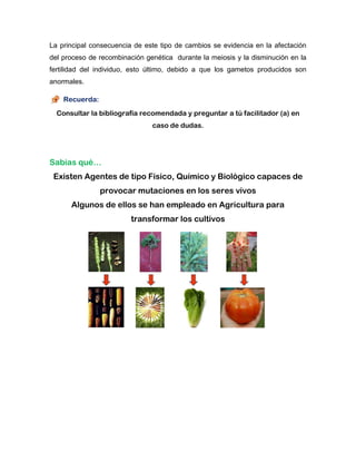 La principal consecuencia de este tipo de cambios se evidencia en la afectación
del proceso de recombinación genética durante la meiosis y la disminución en la
fertilidad del individuo, esto último, debido a que los gametos producidos son
anormales.
Recuerda:
Consultar la bibliografía recomendada y preguntar a tú facilitador (a) en
caso de dudas.
Sabias qué…
Existen Agentes de tipo Físico, Químico y Biológico capaces de
provocar mutaciones en los seres vivos
Algunos de ellos se han empleado en Agricultura para
transformar los cultivos
 