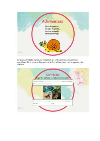 En estas actividades tienen que completar dos textos con los conocimientos
aprendidos. En la primera diapositiva se refiere a los reptiles y en la segunda a los
anfibios.
 