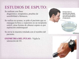 ESTUDIOS DE ESPUTO:
Se realizan con fines
diagnóstico, terapéutico, pruebas de
sensibilidad a fármacos.
Se realiza en ayunas, se pide al paciente que se
enjuague la boca y expectore en un recipiente
estéril, otras formas de obtener esputo es por
aspiración endotraqueal
Se envía la muestra rotulada con el nombre del
paciente.
OXIMETRIA DEL PULSO.- Vigila la
saturación de O2.

 