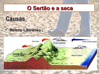 O Sertão e a secaO Sertão e a seca
Causas
 Relevo Litorâneo ;
 