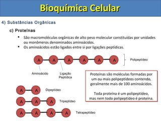 Bioquímica Celular
4) Substâncias Orgânicas
   c) Proteínas
              São macromoléculas orgânicas de alto peso molecular constituídas por unidades
               ou monômeros denominados aminoácidos.
              Os aminoácidos estão ligados entre si por ligações peptídicas.


                       A        A         A           A           A     A        Polipeptídeo



                   Aminoácido        Ligação               Proteínas são moléculas formadas por
                                                           Proteínas são moléculas formadas por
                                    Peptídica
                                                            um ou mais polipeptídeos contendo,
                                                            um ou mais polipeptídeos contendo,
                                                           geralmente mais de 100 aminoácidos.
                                                           geralmente mais de 100 aminoácidos.
           A         A     Dipeptídeo
                                                            Toda proteína é um polipeptídeo,
                                                            Toda proteína é um polipeptídeo,
                                                          mas nem todo polipeptídeo é proteína.
                                                          mas nem todo polipeptídeo é proteína.
           A         A          A   Tripeptídeo


           A         A          A       A         Tetrapeptídeo
 