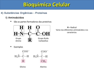 Bioquímica Celular
4) Substâncias Orgânicas - Proteínas
   I) Aminoácidos
          São as partes formadoras das proteínas

                                                                  R = Radical
                                                    Varia nos diferentes aminoácidos e os
                                                                  caracteriza.

            Grupo                  Grupo Ácido
            Amino                  Carboxílico

          Exemplos




                 Glicina             Alanina
 