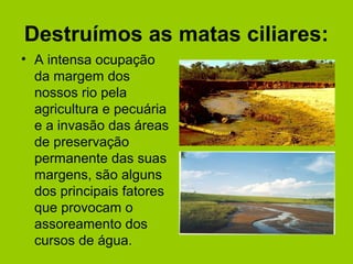 Destruímos as matas ciliares:
• A intensa ocupação
da margem dos
nossos rio pela
agricultura e pecuária
e a invasão das áreas
de preservação
permanente das suas
margens, são alguns
dos principais fatores
que provocam o
assoreamento dos
cursos de água.
 