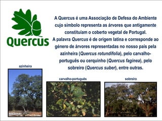 A Quercus é uma Associação de Defesa do Ambiente cujo símbolo representa as árvores que antigamente constituíam o coberto vegetal de Portugal. A palavra Quercus é de origem latina e corresponde ao género de árvores representadas no nosso país pela azinheira (Quercus rotundifolia), pelo carvalho-português ou cerquinho (Quercus faginea), pelo sobreiro (Quercus suber), entre outras. azinheira carvalho-português sobreiro 