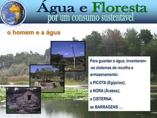 o homem e a águaOs 1os povos sedentários procuravam sítios à beira da água para construir as suas povoações. Grandes civilizações antigas desenvolveram-se em presença da água e decaíram ou desapareceram quando se verificou a sua escassez ou degradação.