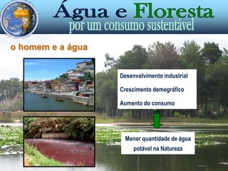 o homem e a águaPara guardar a água, inventaram- -se sistemas de recolha e armazenamento:a PICOTA (Egípcios);a NORA (Árabes);a CISTERNA; as BARRAGENS …