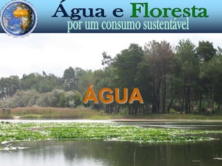 ÁGUA