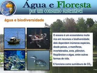 Urbano – 6,4%Industrial – 4,4%Turismo – 0,2%Agrícola – 75%Energia – 14%os usos da água em Portugal