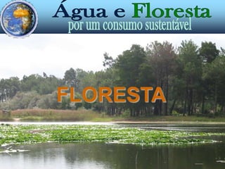 água e biodiversidadeZonas de água doce são muito ricas em vida, pois a água permite a existência de alimento e abrigo a muitas espécies de peixes, aves, mamíferos, insectos, répteis, anfíbios...