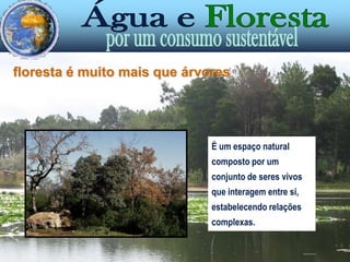 FLORESTA