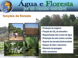floresta é muito mais que árvoresÉ um espaço natural composto por um conjunto de seres vivos que interagem entre si, estabelecendo relações complexas.